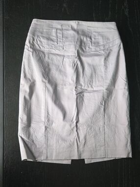 Express Light Gray Pencil Skirt with Back Seam Detail